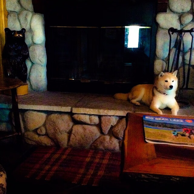 九游app下载-冰火对决，詹姆斯末节封神，森林狼巅峰之战启示浙江崛起之路